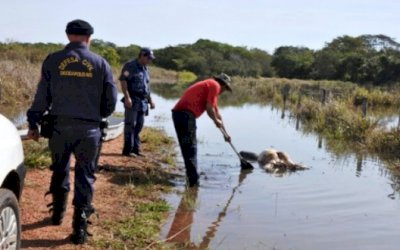 Corpo de mulher que se jogou da ponte foi localizado em Deodápolis