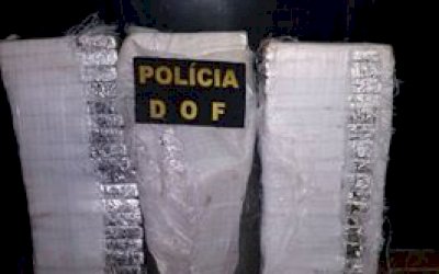 ANGÉLICA: Dof apreende 35,5 kg de maconha em bar