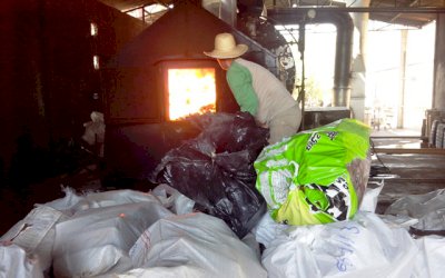 IVINHEMA: PC incinera mais de uma tonelada de drogas