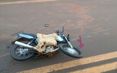 DEODÁPOLIS: Motociclista fica gravemente ferido após colidir em carroça