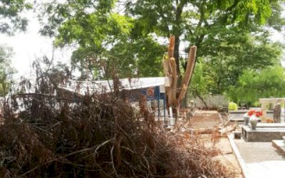 DEODÁPOLIS: Internauta flagra abandono de cemitério municipal