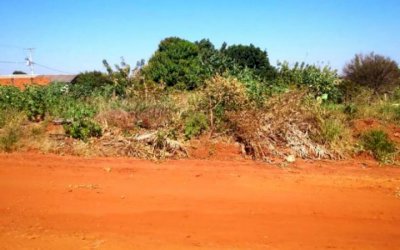 DEODÁPOLIS: Moradores denunciam 'Terrenos Abandonados' e pedem ação urgente da Prefeitura
