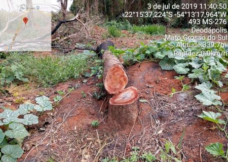 DEODÁPOLIS: PMA autua produtor por incêndio de floresta nativa e exploração ilegal de madeira