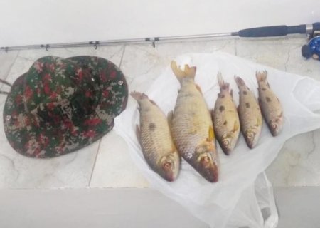 DEODÁPOLIS: PMA prende e autua pescador por captura de pescado acima da cota e abaixo das medidas permitidas por lei
