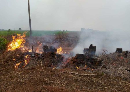 PMA de Batayporã autua infrator por provocar incêndio em restos de vegetação em período proibido