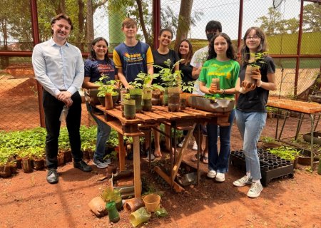 IVINHEMA: Projeto da Escola Reynaldo Massi distribui gratuitamente mudas de árvores para a população