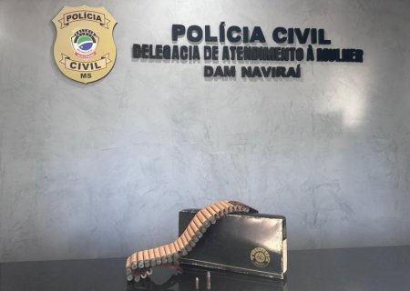 NAVIRAÍ: PC prende homem por posse ilegal de munição de arma de fogo