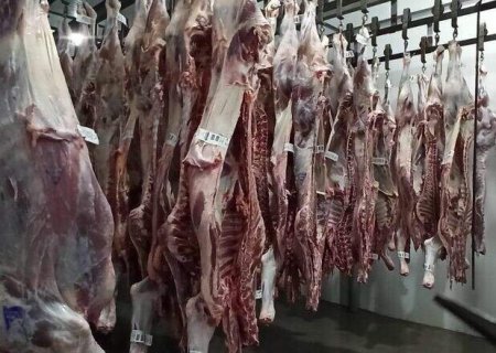 Abates de bovinos, aves e suínos caem no 2º trimestre do ano em Mato Grosso do Sul