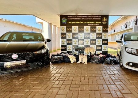 DEODÁPOLIS: Veículos carregados com mais de 290 quilos de cabelo humano ilegais são apreendidos pelo DOF