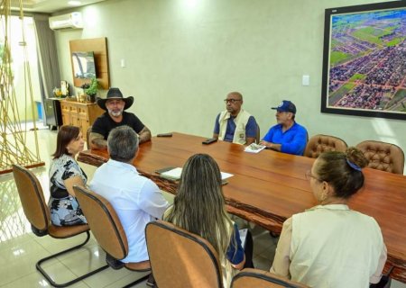Reunião discute medidas contra arboviroses em Ivinhema