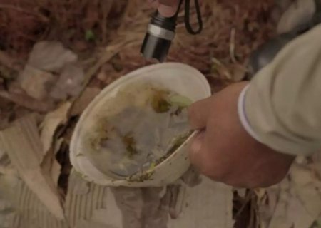 Sobe para 6 o número de mortes por dengue este ano em Mato Grosso do Sul