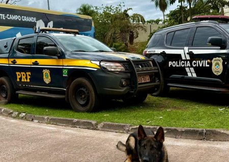 Polícias Civil e Rodoviária Federal prende casal transportando drogas em ônibus clandestino