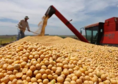 Exportação da soja de MS sofre queda de 14,29% em 2024