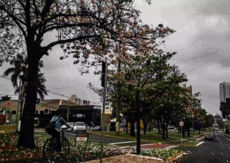 Checklist do outono: saiba como se preparar para os dias de temperaturas amenas em MS