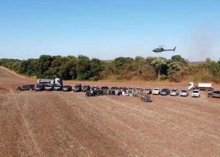 Operação da PF e Senad na fronteira destrói 880 toneladas de maconha