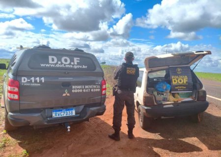 DOF apreende mais de 150 quilos de droga que seguiam para Naviraí