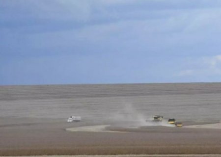 Produção de soja cresce em Mato Grosso do Sul e safra pode chegar a 14,6 milhões de toneladas