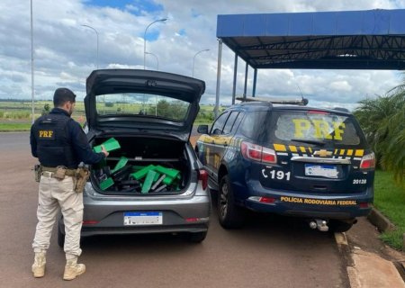 Polícia apreende 103 quilos de maconha que seriam levados para SP