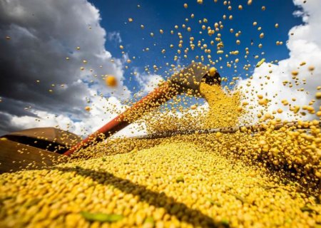 Safra de grãos do Brasil deve bater recorde com 332,9 milhões de toneladas, projeta Conab