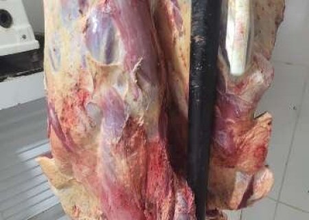 Abate clandestino de animais doentes abastecia a&ccedil;ougue em MS