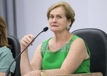 Professora Denir solicita melhorias viárias e de infraestrutura em escola e rua