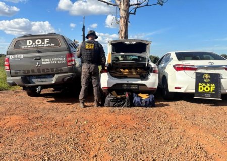 DOF apreende mais de 300 quilos de drogas e prende batedor em MS