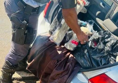 Carga milionária de cabelo humano vinda do Paraguai é apreendida em SP