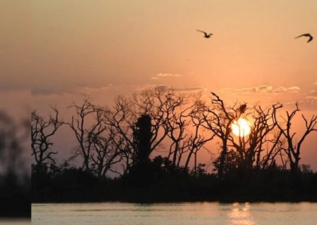 Inverno em MS terá temperaturas acima da média e Pantanal com menos chuva