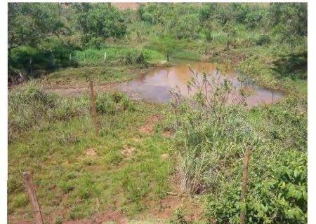 DEODÁPOLIS: MPMS investiga desmatamento ilegal em área de proteção às margens do Córrego das Lavadeiras