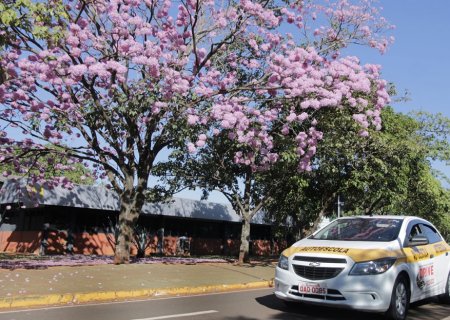 DEODÁPOLIS: Instrutor do município é eleito o melhor do trânsito em 2025 pelo Detran-MS