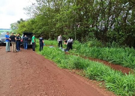 Padre é morto com facadas no pescoço e marteladas na cabeça durante roubo em MS
