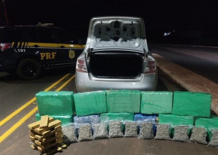 Polícia apreende 289 kg de maconha que seriam levados para Bahia