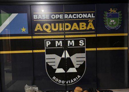 Passageiros confessam transporte de drogas após flagrante em rodovia