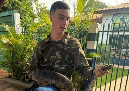 Jovem resgata jiboia de 2 metros e leva animal de moto até base da PMA