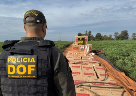 Produtos apreendidos pelo DOF causam prejuízo de mais de R$ 320 milhões ao crime em 2026