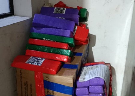 Parati parada em rodovia chama atenção e polícia encontra quase 250kg de drogas