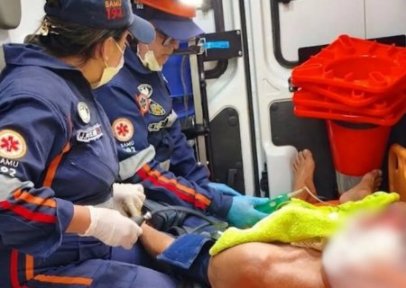 Idoso tem rosto dilacerado após ataque de cão da raça border collie