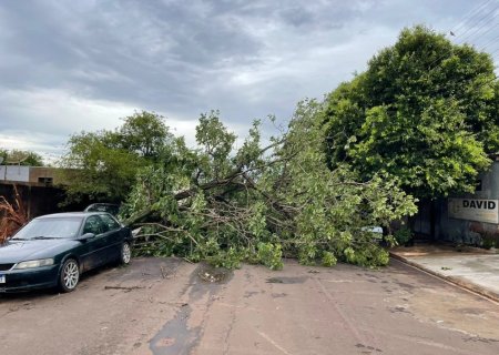Extremo sul de MS tem risco de tornado nesta sexta-feira