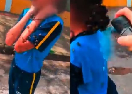 Aluna atacada por abelhas em MG tem melhora e deve deixar CTI