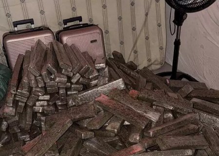 Polícia apreende 1,6 tonelada de maconha em casa usada como depósito