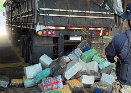 VICENTINA: PRF apreende 5,2 toneladas de maconha escondidas em carga de milho na BR-376
