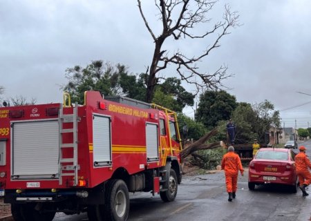 IVINHEMA: Queda de árvore e risco na rede de alta tensão mobilizam equipes; energia é restabelecida e comandante esclarece situação