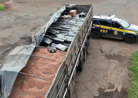 PRF apreende 6,3 toneladas de maconha e quatro fuzis na BR-163 em Naviraí