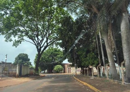 Motociclista perde equil&iacute;brio em lombada e morre ao bater em &aacute;rvore