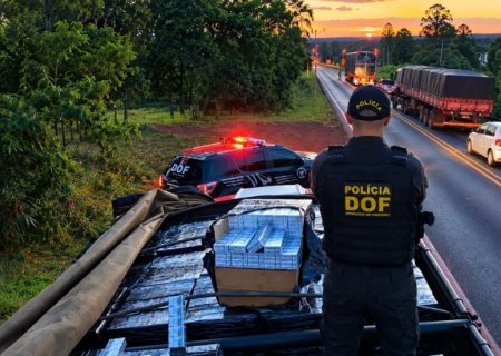 Em 3 meses, DOF apreendeu mais de R$ 215 milhões em drogas em MS